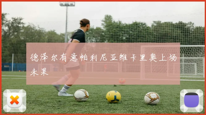 德泽尔有意帕利尼亚维卡里奥上场未果